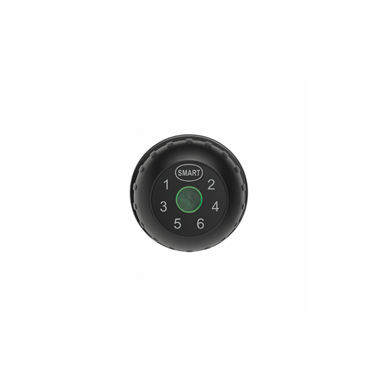 4-in-1 Smart Door Knob Lock with Fingerprint, Key Fob, App & Password Access