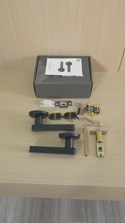 4-in-1 Smart Door Lever Lock with Fingerprint, Key Fob, App & Password Access